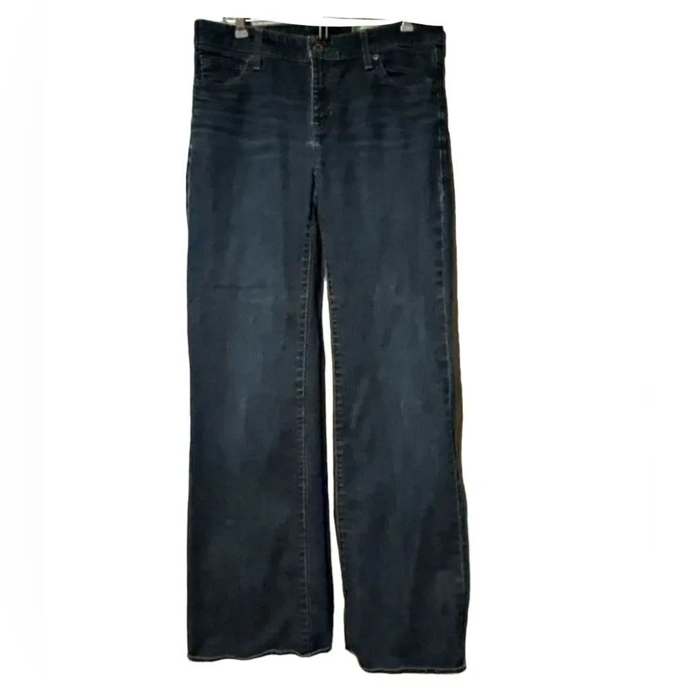Gap Essentials Stretch Size 6R Jeans